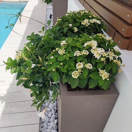 Hotel Nettuno Кала Гононе Екстериор снимка